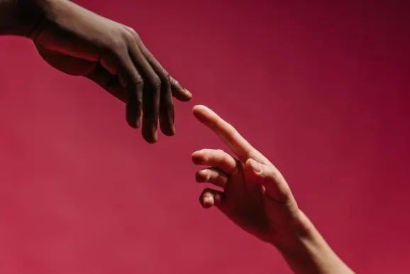 Rex Casino Tacaíocht